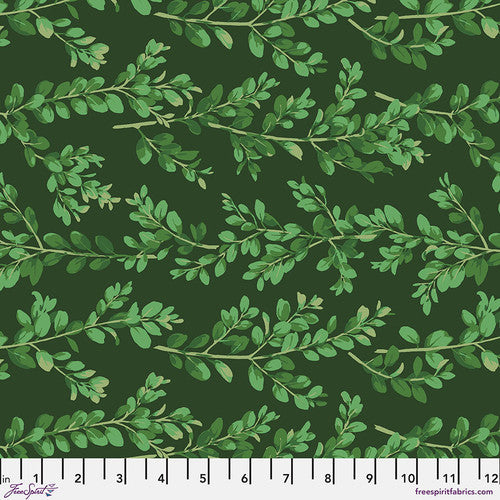 Boxwood dark green - Winterberry -50 cm - Martha Negley