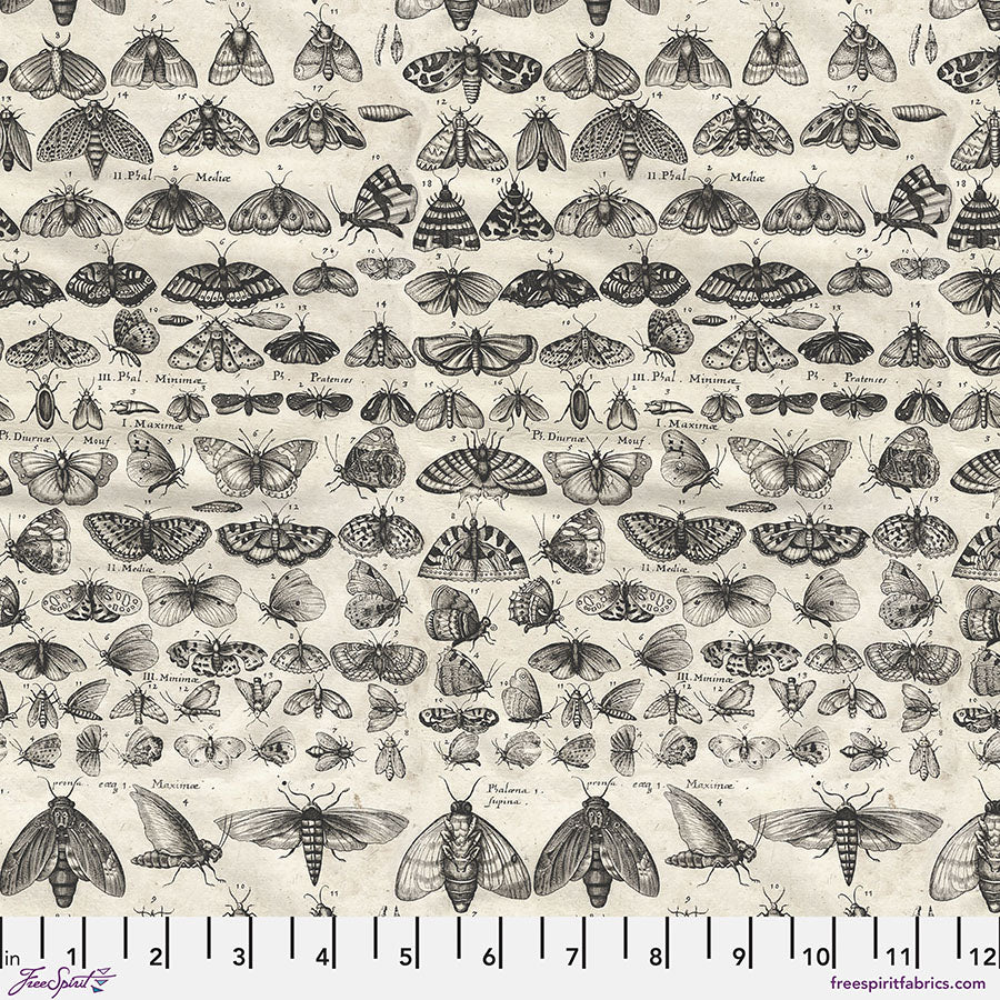 Palette CHARCOAL Moths - 50 cm - Tim Holtz
