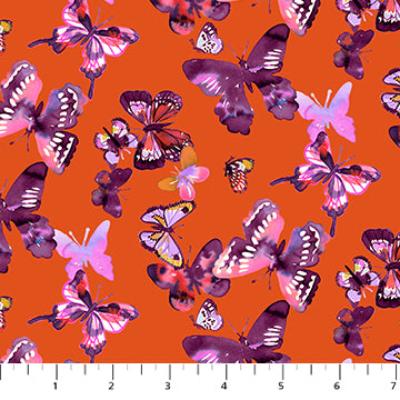 Orange Butterflies - 50 cm -  Josephine Kimberling
