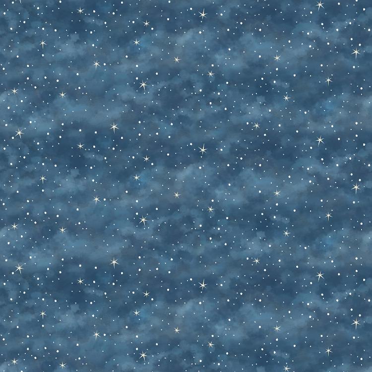 Denim Starry Night  - Its the Holidays  - pr 50 cm -Henry Glass