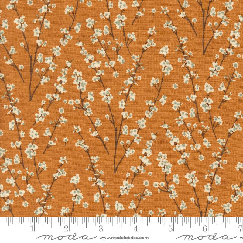 Acorn Hollow Gold - 50 cm - Basic Grey