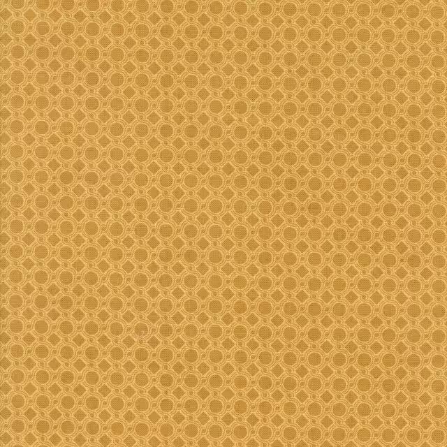 Acorn Hollow Gold - 50 Gold- Basic Grey