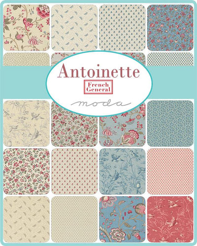 Antoinette  F8 paket 9x18 inch (29) - French General