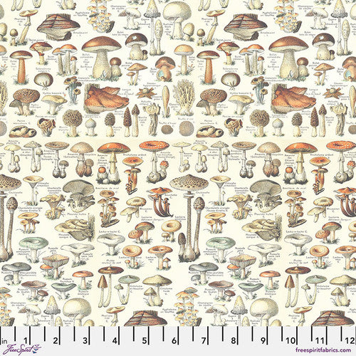 Palette Orange Toadstool -  50 cm - Tim Holtz