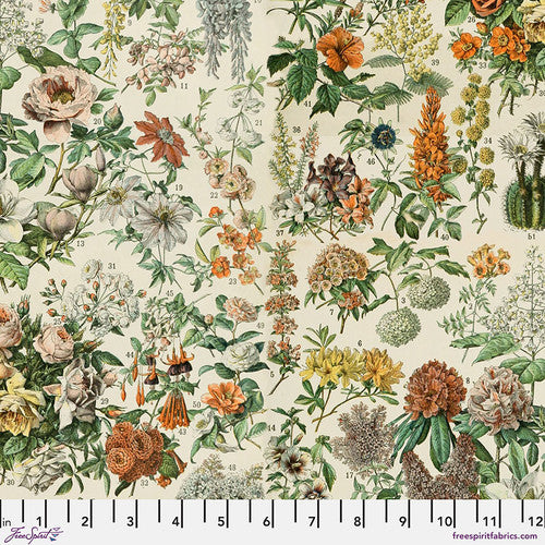 Palette Orange Botanical -  50 cm - Tim Holtz