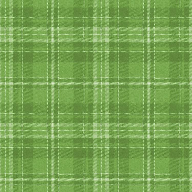 Green Plaid - Classic Christmas - pr 50 cm - Riley Blake