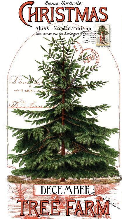 Classic Christmas tygpaket (16x28) Riley Blake