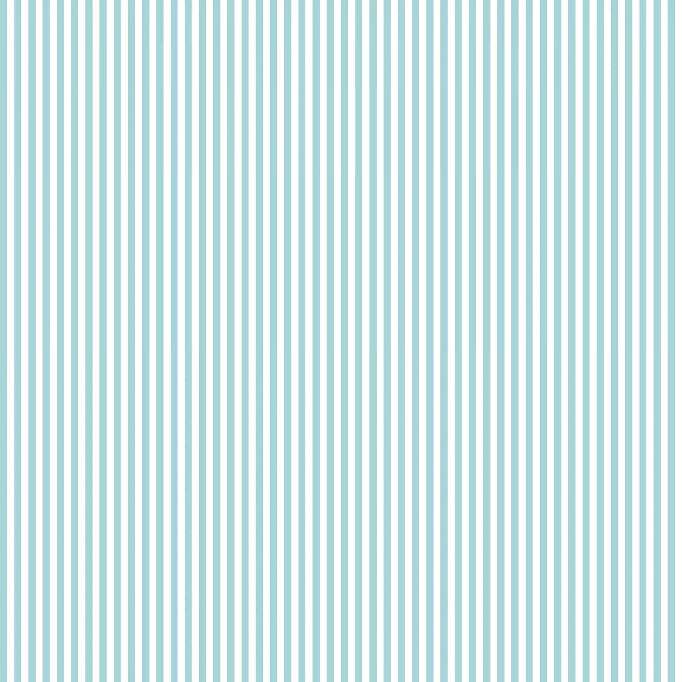 Aqua White Stripe 1/8 inch - 50 cm