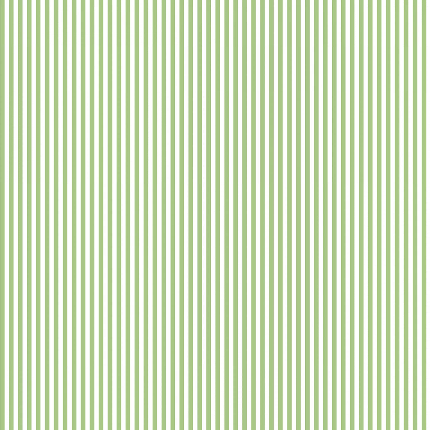 Green and White stripe 1/8inch - 50 cm