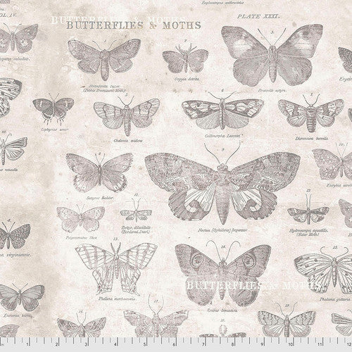 Monochrome Butterflights Parchment - 50 cm - Tim Holtz