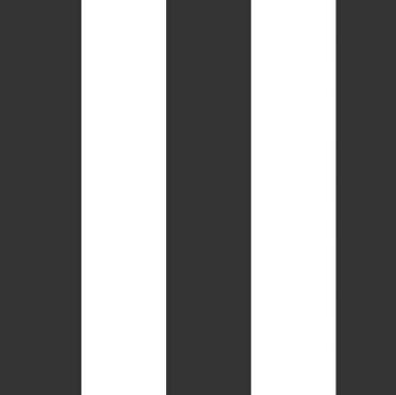 Black White Stripe 2 inch - 50 cm