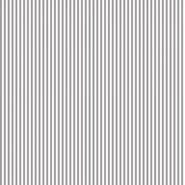 Grey and White stripe 1/8 inch - 50 cm
