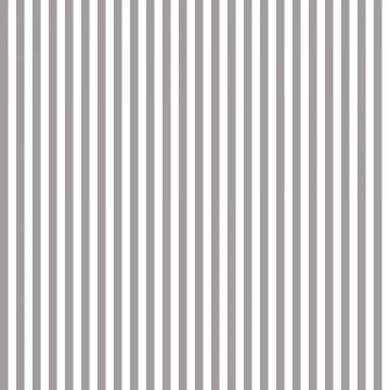 Grey and White stripe 1/4 inch - 50 cm