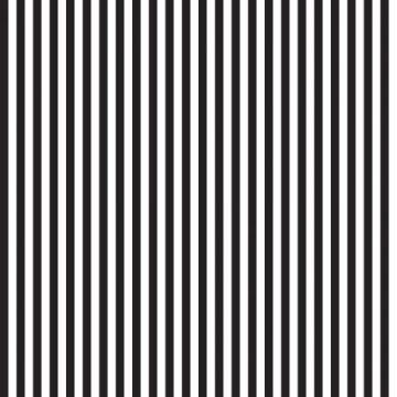 Black and White stripe 1/4 inch - 50 cm