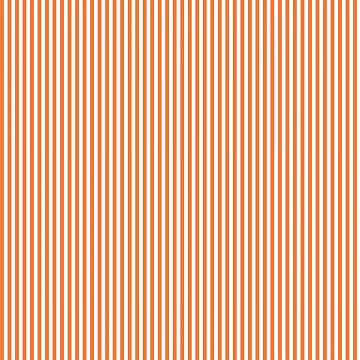 Orange and White stripe 1/4 inch - 50 cm