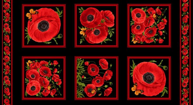 Wild Poppy panel 60x110 cm